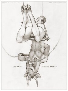 Rating: Explicit Score: 0 Tags: 2011 antelope anthro balls bongo_(antelope) border bovid bovine circus dangling e621 ear_piercing ecmajor genitals greyscale hooves male mammal monochrome nipples nude piercing rope seductive simple_background solo spiral-horned_antelope tail text traditional_media_(artwork) trapeze upside_down white_background white_border User: bunchy7s Rating: Explicit Score: 0 Tags: 2011 antelope anthro balls bongo_(antelope) border bovid bovine circus dangling e621 ear_piercing ecmajor genitals greyscale hooves male mammal monochrome nipples nude piercing rope seductive simple_background solo spiral-horned_antelope tail text traditional_media_(artwork) trapeze upside_down white_background white_border User: bunchy7s
