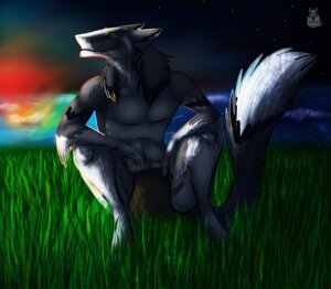 Rating: Safe Score: 0 Tags: 2012 anthro dantalian_letrou e621 grass happy hi_res male mammal night outside plant sergal sky smile solo star sunrise tail water User: bunchy7s