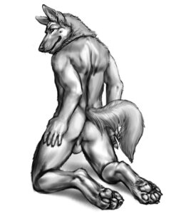 Rating: Explicit Score: 0 Tags: 2012 4:5 anakuro anthro anus backsack balls butt canid canine canis digital_media_(artwork) domestic_dog e621 feet genitals german_shepherd greyscale herding_dog hindpaw kanic looking_at_viewer looking_back male mammal monochrome muscular muscular_anthro muscular_male nude pastoral_dog paws presenting raised_tail rear_view simple_background sketch smile solo tail white_background User: bunchy7s Rating: Explicit Score: 0 Tags: 2012 4:5 anakuro anthro anus backsack balls butt canid canine canis digital_media_(artwork) domestic_dog e621 feet genitals german_shepherd greyscale herding_dog hindpaw kanic looking_at_viewer looking_back male mammal monochrome muscular muscular_anthro muscular_male nude pastoral_dog paws presenting raised_tail rear_view simple_background sketch smile solo tail white_background User: bunchy7s
