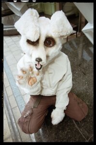Rating: Safe Score: 0 Tags: anthro bottomwear brown_eyes canid canine cargo_pants clothed clothing costume e621 fennec_fox fox fully_clothed fursuit gallenw gesture grandfathered_content looking_at_viewer male mammal nightmare_fuel pants paws real solo teeth tongue true_fox waving white_body User: bunchy7s