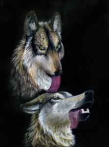 Rating: Safe Score: 0 Tags: ambiguous_gender canid canine canis conditional_dnp duo e621 feral goodwolf licking mammal royz tongue tongue_out wolf User: bunchy7s Rating: Safe Score: 0 Tags: ambiguous_gender canid canine canis conditional_dnp duo e621 feral goodwolf licking mammal royz tongue tongue_out wolf User: bunchy7s