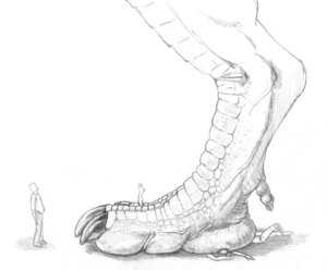 Rating: Questionable Score: 0 Tags: 5-d ambiguous_gender anthro big_feet claws dragon e621 feet graphite_(artwork) greyscale group huge_feet human macro male mammal micro monochrome mythological_creature mythological_scalie mythology reptile scalie size_difference stomping toe_claws traditional_media_(artwork) vehicle User: bunchy7s Rating: Questionable Score: 0 Tags: 5-d ambiguous_gender anthro big_feet claws dragon e621 feet graphite_(artwork) greyscale group huge_feet human macro male mammal micro monochrome mythological_creature mythological_scalie mythology reptile scalie size_difference stomping toe_claws traditional_media_(artwork) vehicle User: bunchy7s