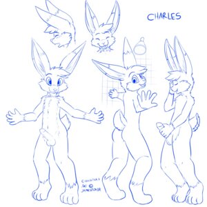 Rating: Explicit Score: 0 Tags: 1:1 2013 anthro balls biped blue_and_white blush butt charles_(jamesfoxbr) digital_media_(artwork) e621 erection fur genitals hair hi_res jamesfoxbr lagomorph leporid looking_at_viewer male mammal monochrome nude open_mouth penis presenting rabbit shower simple_background smile solo standing teeth young young_anthro young_male User: bunchy7s