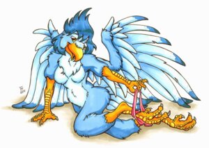 Rating: Questionable Score: 0 Tags: 2010 anthro avian beak bird breasts clothed clothing clothing_around_one_leg e621 feathered_wings feathers female flinters non-mammal_breasts nude panties panties_down partially_clothed simple_background solo tail tail_feathers underwear underwear_around_one_leg underwear_down undressing white_background wings User: bunchy7s