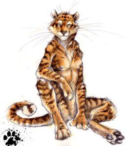 Rating: Questionable Score: 0 Tags: anthro biped black_nose blotch breasts casual_nudity digitigrade e621 felid female fur half-closed_eyes looking_at_viewer mammal narrowed_eyes nipples nude orange_body orange_fur pantherine simple_background sitting solo stripes tail tiger whiskers white_background User: bunchy7s