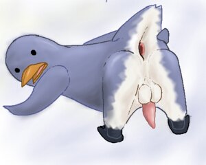 Rating: Explicit Score: 0 Tags: 5:4 anus avian balls beak bird butt digital_media_(artwork) e621 erection feral gaping gaping_anus genitals low_res male nude oekaki penguin penis raised_tail solo spread_butt spreading tail tail_anus toony unknown_artist User: bunchy7s