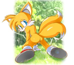 Rating: Explicit Score: 0 Tags: all_fours anthro blush bodily_fluids butt canid canine crossgender dripping dripping_vulva e621 embarrassed female fox genital_fluids genitals mammal miles_prower mtf_crossgender multi_tail outside sega solo sonic_the_hedgehog_(series) tail unknown_artist vaginal_fluid_drip vaginal_fluids vulva User: bunchy7s Rating: Explicit Score: 0 Tags: all_fours anthro blush bodily_fluids butt canid canine crossgender dripping dripping_vulva e621 embarrassed female fox genital_fluids genitals mammal miles_prower mtf_crossgender multi_tail outside sega solo sonic_the_hedgehog_(series) tail unknown_artist vaginal_fluid_drip vaginal_fluids vulva User: bunchy7s
