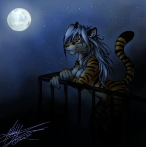 Rating: Questionable Score: 0 Tags: 2010 anthro balcony blue_hair breasts detailed_background e621 felid female hair k'sharra ksharra mammal moon night nude outside pantherine simple_background sky solo star starry_sky tail tiger User: bunchy7s