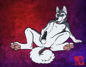 Rating: Explicit Score: 0 Tags: 1boy 2010 balls canine canine_penis collar feralityillustration knot malamute male male_only nude penis rule34 solo spread_legs spreading User: bunchy7s