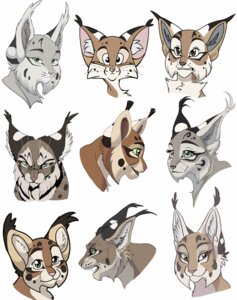 Rating: Safe Score: 0 Tags: e621 felid feline female feral group headshot_portrait hibba hibbary looking_at_viewer lynx male mammal portrait simple_background white_background User: bunchy7s