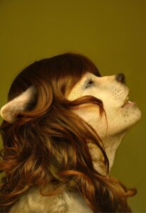 Rating: Safe Score: 0 Tags: absurd_res anthro biped black_nose bokehofmud brown_hair bust_portrait canid canine canis e621 eyelashes female fur grandfathered_content hair hi_res looking_up mammal open_mouth orange_background photo_manipulation portrait side_view simple_background solo teeth third-party_edit what wolf yellow_body yellow_eyes yellow_fur User: bunchy7s