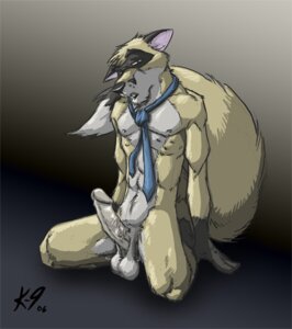 Rating: Explicit Score: 0 Tags: 2006 anthro athletic athletic_anthro athletic_male balls biped canid canine domestic_ferret e621 erection fender fox furaffinity genitals humanoid_genitalia humanoid_penis hybrid k-9 kneeling looking_at_viewer low_res male mammal mascot mustelid musteline nude penis simple_background solo spread_legs spreading tail true_musteline vein weasel User: bunchy7s