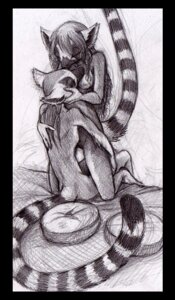Rating: Questionable Score: 0 Tags: anthro bed breasts duo e621 female furniture hair hug kissing lemur long_hair male mammal monochrome nipples pillow primate riftryu ring-tailed_lemur romantic romantic_couple sitting sketch strepsirrhine tail User: bunchy7s Rating: Questionable Score: 0 Tags: anthro bed breasts duo e621 female furniture hair hug kissing lemur long_hair male mammal monochrome nipples pillow primate riftryu ring-tailed_lemur romantic romantic_couple sitting sketch strepsirrhine tail User: bunchy7s