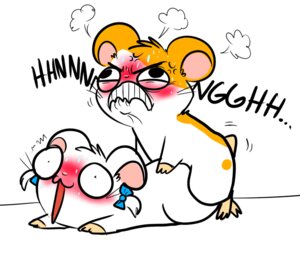 Rating: Explicit Score: 0 Tags: bijou_(hamtaro) blush cricetid duo e621 female feral hamster hamtaro hamtaro_(series) humor male male/female mammal rodent sex unknown_artist User: bunchy7s
