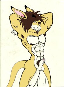 Rating: Explicit Score: 0 Tags: anthro armpit_hair balls body_hair ddw e621 felid foreskin fur genitals hi_res hybrid kangaroo lion macropod male mammal marsupial muscular muscular_anthro muscular_male pantherine partially_retracted_foreskin penis pubes solo tail User: bunchy7s