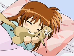 Rating: Safe Score: 0 Tags: 4:3 ambiguous_gender bite detailed_background digital_media_(artwork) domestic_ferret duo e621 eyes_closed female feral hi_res human mahou_shoujo_lyrical_nanoha mammal mustelid musteline nanoha_takamachi nom sleeping tail toony true_musteline unknown_artist vector weasel yuuno_scrya User: bunchy7s Rating: Safe Score: 0 Tags: 4:3 ambiguous_gender bite detailed_background digital_media_(artwork) domestic_ferret duo e621 eyes_closed female feral hi_res human mahou_shoujo_lyrical_nanoha mammal mustelid musteline nanoha_takamachi nom sleeping tail toony true_musteline unknown_artist vector weasel yuuno_scrya User: bunchy7s