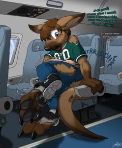 Rating: Safe Score: 0 Tags: 2014 aircraft airplane anthro biped blue_eyes bottomwear catmonkshiro clothing competition_number denim denim_bottomwear denim_clothing e621 earbuds electronics english_text flying footwear forced forced_transformation headphones hi_res inside_airplane jeans jersey jet kangaroo macropod male mammal marsupial nfl number number_on_clothing number_on_jersey number_on_topwear number_print pants pheagle philadelphia_eagles print_clothing print_jersey print_topwear seat seat_belt shirt shoes solo species_transformation text topwear torn_clothing transformation vehicle window User: bunchy7s