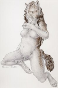 Rating: Safe Score: 0 Tags: 2004 anthro artist_name breasts canid canine canis chenneoue chest_tuft dated detailed detailed_fur digit_ring digitigrade e621 featureless_breasts featureless_crotch female finger_ring fur hair jewelry mammal mane mane_hair nude realistic ring ring_(jewelry) self_portrait simple_background small_eyes solo tail text tuft white_background wolf year User: bunchy7s