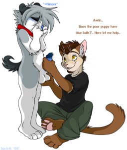 Rating: Explicit Score: 0 Tags: anthro balls balls_fondling blue_penis canine cum cute feline fur furry furry_only gay handjob male masturbation mutual_masturbation muzz muzz_(character) penis pliskin_(character) precum rule34 User: bunchy7s