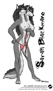 Rating: Questionable Score: 0 Tags: 2000 2_heads 4_toes anthro arakaraath areola bikini breasts canid canine canis clothed clothing e621 feet female gynomorph_(lore) mammal multi_head multifur nipples sarah_blackmane skimpy solo spot_color swimwear tail toes two-piece_swimsuit undressing wolf User: bunchy7s