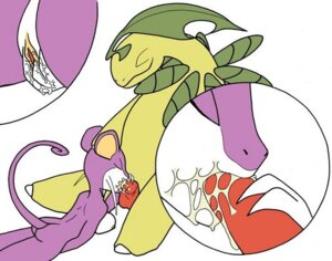 Rating: Explicit Score: 0 Tags: anthro artist_request ass bayleef breasts color cum fellatio female fingering fur furry insertion interspecies male masturbation nintendo nipples nude oral penis pokemon pokemon_(species) pussy pussy_juice rattata rule34 straight User: bunchy7s