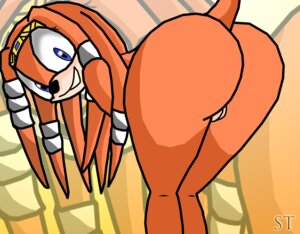 Rating: Explicit Score: 0 Tags: 2d anthro echidna female mobian mobian_(species) mobian_echidna rule34 sega sonic_(series) sonic_adventure sonic_the_hedgehog_(series) tagme tikal_the_echidna User: bunchy7s