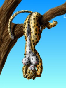 Rating: Explicit Score: 0 Tags: anthro breasts e621 feet felid female genitals hindpaw leopard lips mammal nipples pantherine paws plant solo sudonym tail tree vulva wood User: bunchy7s