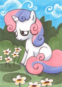 Rating: Safe Score: 0 Tags: blighted_angel blue_hair blue_sky day detailed_background e621 equid equine female feral flower friendship_is_magic frown fur green_eyes hair hasbro hooves horn low_res mammal multicolored_hair my_little_pony mythological_creature mythological_equine mythology outside pink_hair plant quadruped sad side_view sky solo sweetie_belle_(mlp) tail toony unguligrade unicorn white_body white_fur young young_female young_feral User: bunchy7s