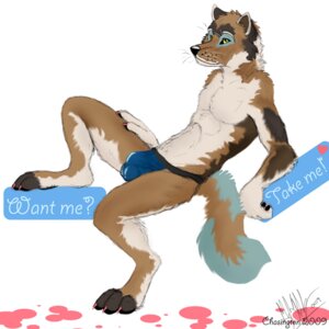 Rating: Explicit Score: 0 Tags: 1:1 anthro balls_outline briefs bulge canid canine canis chasington clothed clothing detailed_bulge e621 english_text genital_outline looking_away male mammal simple_background skimpy skinny solo text topless underwear white_background wolf yellow_eyes User: bunchy7s