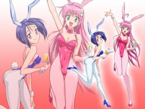 Rating: Explicit Score: 0 Tags: 2girls animal_ear breasts bunny_ear bunny_girl bunnysuit cameltoe cleavage clothing female female_only high_heels lala_satalin_deviluke multiple_females multiple_girls natsuya_(circle) pantyhose pussy rule34 sairenji_haruna small_breasts smile tate_machi to_love-ru wrist_cuffs User: bunchy7s
