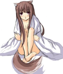 Rating: Questionable Score: 0 Tags: animal_humanoid breasts brown_hair canid canid_humanoid canine canine_humanoid canis clothed clothing e621 female hair holo_(spice_and_wolf) humanoid looking_at_viewer mammal mammal_humanoid open_clothing open_shirt open_topwear purple_eyes shirt solo spice_and_wolf tail topwear unknown_artist wolf wolf_humanoid User: bunchy7s
