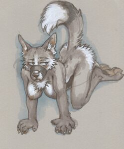 Rating: Explicit Score: 0 Tags: 5_fingers anthro black_nose breasts canid canine canis claws dipstick_tail domestic_dog e621 female fingers fox fur grey_body grey_fur mammal markings muzzle_(object) muzzled nipples solo ssirrus tail tail_markings white_claws User: bunchy7s Rating: Explicit Score: 0 Tags: 5_fingers anthro black_nose breasts canid canine canis claws dipstick_tail domestic_dog e621 female fingers fox fur grey_body grey_fur mammal markings muzzle_(object) muzzled nipples solo ssirrus tail tail_markings white_claws User: bunchy7s