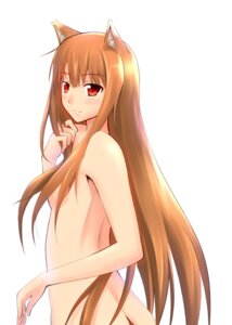 Rating: Questionable Score: 0 Tags: animal_humanoid brown_hair canid canid_humanoid canine canine_humanoid canis casual_nudity e621 female hair holo_(spice_and_wolf) humanoid lapua long_hair mammal mammal_humanoid nude red_eyes simple_background solo spice_and_wolf white_background wolf wolf_humanoid User: bunchy7s
