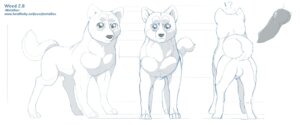 Rating: Explicit Score: 0 Tags: 2014 animal_genitalia animal_penis backsack balls butt canid canine canine_genitalia canine_penis canis cel_shading domestic_dog e621 erection exclamation_point feral fluffy fluffy_tail genitals ginga_(series) hi_res interrobang knot looking_at_viewer male mammal metalfox model_sheet nude penis question_mark shaded side_view simple_background solo tail text turnaround url weed_(ginga) white_background User: bunchy7s