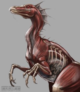 Rating: Questionable Score: 0 Tags: ambiguous_gender bone dinosaur e621 feral internal muscular muscular_ambiguous muscular_feral ornithomimid ornithomimosaur ornithomimus prehistoric_species reptile rotarr saurischian scalie solo theropod translucent translucent_body undead zombie User: bunchy7s Rating: Questionable Score: 0 Tags: ambiguous_gender bone dinosaur e621 feral internal muscular muscular_ambiguous muscular_feral ornithomimid ornithomimosaur ornithomimus prehistoric_species reptile rotarr saurischian scalie solo theropod translucent translucent_body undead zombie User: bunchy7s