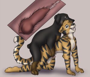 Rating: Explicit Score: 0 Tags: all_fours anal anal_knotting anal_penetration animal_genitalia animal_penis anthro anthro_on_feral anthro_penetrated balls_deep bestiality biped bodily_fluids canid canine canine_genitalia canine_penis canis cum cum_inside doggystyle domestic_dog dripping duo e621 erection felid feline_genitalia feline_penis feral feral_penetrating feral_penetrating_anthro from_behind_position genital_fluids genitals internal interspecies knot knotting male male/male male_on_anthro male_on_bottom male_on_top male_penetrated male_penetrating male_penetrating_male mammal mastiff molosser mounting nude on_bottom on_top pantherine penetration penile penile_penetration penile_spines penis penis_in_ass precum quadruped rottweiler sex tail tiger zoophilic User: bunchy7s