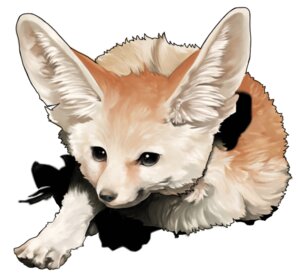 Rating: Safe Score: 0 Tags: ambiguous_gender black_eyes canid canine e621 fennec_fox feral fox fur inner_ear_fluff long_ears mammal mosho22 multicolored_body multicolored_fur quadruped realistic realistic_anatomy realistic_lighting realistic_shading simple_background solo tan_body tan_fur true_fox tuft two_tone_body two_tone_fur white_background white_body white_fur User: bunchy7s