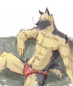 Rating: Questionable Score: 0 Tags: anthro as40728 briefs canid canine canis cigarette clothed clothing domestic_dog e621 german_shepherd herding_dog male mammal pastoral_dog smoke smoking solo tail topless underwear yellow_eyes User: bunchy7s