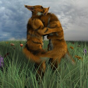 Rating: Questionable Score: 0 Tags: 1:1 2010 3d_(artwork) akito anthro autodesk_maya_(artwork) canid canine digital_media_(artwork) duo e621 female fox grandfathered_content hi_res male mammal tail User: bunchy7s