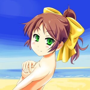 Rating: Questionable Score: 0 Tags: artist_request baka_to_test_to_shoukanjuu beach blush breasts brown_hair erect_nipples female green_eyes hairbow looking_at_viewer nipples ponytail rule34 shimada_minami tied_hair User: bunchy7s