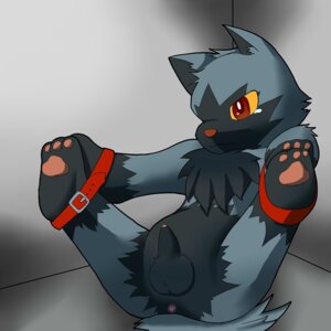 Rating: Explicit Score: 0 Tags: 1:1 anthro anthrofied anus arm_to_leg balls bdsm black_balls black_body black_fur black_penis blue_body blue_fur blue_tail bondage bound brown_eyes canid canine e621 front_view frown fur generation_3_pokemon genitals male mammal multicolored_body multicolored_fur nintendo okunawa pawpads penis pink_pawpads pokemon pokemon_(species) pokemorph poochyena red_eyes red_nose snout solo straps submissive submissive_male tail tan_nose three-quarter_view two_tone_body two_tone_fur wrists_to_ankles yellow_sclera young young_anthro young_male User: bunchy7s