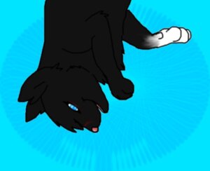 Rating: Safe Score: 0 Tags: 2012 blue_background blue_eyes digital_media_(artwork) domestic_cat e621 felid feline felis female feral fur hair looking_at_viewer mammal neonate nukikrueger ojos_azules open_mouth pelo piel recently_extinct_species scar sea short_hair simple_background solo thunder water young young_feral User: bunchy7s