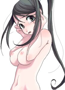 Rating: Explicit Score: 0 Tags: black_hair breasts female harukaumedaya huge_eyes long_hair nakatsukasa_tsubaki nipples nude pin ponytail rule34 soul_eater tears tied_hair User: bunchy7s