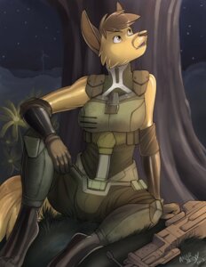 Rating: Safe Score: 0 Tags: 2013 angrboda anthro armor canid canine detailed_background e621 female fox gun hi_res latex latex_body living_latex mammal night plant ranged_weapon rismic solo star topaz_(rismic) tree weapon User: bunchy7s