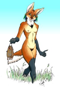 Rating: Explicit Score: 0 Tags: anthro armor biped bracers breasts canid canine claws e621 ear_piercing female fur genitals green_eyes hunter hunting mammal maned_wolf nephilia nipples nude orange_body orange_fur piercing pubes rodent solo standing tail tribal vulva User: bunchy7s Rating: Explicit Score: 0 Tags: anthro armor biped bracers breasts canid canine claws e621 ear_piercing female fur genitals green_eyes hunter hunting mammal maned_wolf nephilia nipples nude orange_body orange_fur piercing pubes rodent solo standing tail tribal vulva User: bunchy7s