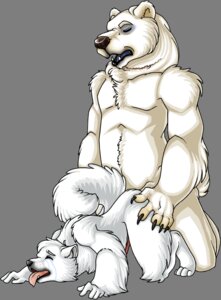 Rating: Explicit Score: 0 Tags: alpha_channel anal anal_penetration anthro anthro_on_anthro bear canid canine canis claws domestic_dog dominant duo e621 erection from_behind_position fur genitals hand_on_butt interspecies larger_dom larger_male male male/male male_penetrated male_penetrating male_penetrating_male mammal mechasheep nude penetration penis polar_bear predator/prey sex simple_background size_difference smaller_male tail transparent_background ursine white_body white_fur User: bunchy7s