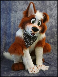 Rating: Safe Score: 0 Tags: anthro border_collie canid canine canis clothing collie costume domestic_dog e621 fursuit grandfathered_content green_eyes hair herding_dog jill0r kerchief looking_at_viewer male mammal pastoral_dog real sheepdog short_hair solo white_hair User: bunchy7s Rating: Safe Score: 0 Tags: anthro border_collie canid canine canis clothing collie costume domestic_dog e621 fursuit grandfathered_content green_eyes hair herding_dog jill0r kerchief looking_at_viewer male mammal pastoral_dog real sheepdog short_hair solo white_hair User: bunchy7s