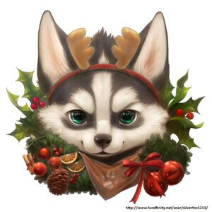 Rating: Safe Score: 0 Tags: 1:1 2012 ambiguous_gender anthro canid canine canis christmas domestic_dog e621 eye_reflection food fruit glistening glistening_eyes holidays husky mammal nordic_sled_dog plant reflection silverfox5213 solo spitz text url User: bunchy7s Rating: Safe Score: 0 Tags: 1:1 2012 ambiguous_gender anthro canid canine canis christmas domestic_dog e621 eye_reflection food fruit glistening glistening_eyes holidays husky mammal nordic_sled_dog plant reflection silverfox5213 solo spitz text url User: bunchy7s