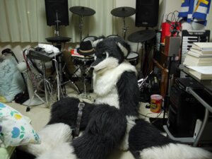 Rating: Safe Score: 0 Tags: ambiguous_gender anthro belt canid canine clothing costume drum drum_set e621 fox fursuit generation_5_pokemon grandfathered_content hat headgear headwear keyboard legendary_pokemon mammal musical_instrument netiel nintendo percussion_instrument photography_(artwork) pokemon pokemon_(species) real solo zekrom User: bunchy7s Rating: Safe Score: 0 Tags: ambiguous_gender anthro belt canid canine clothing costume drum drum_set e621 fox fursuit generation_5_pokemon grandfathered_content hat headgear headwear keyboard legendary_pokemon mammal musical_instrument netiel nintendo percussion_instrument photography_(artwork) pokemon pokemon_(species) real solo zekrom User: bunchy7s