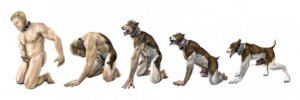 Rating: Explicit Score: 0 Tags: animal_genitalia animal_penis basic_sequence bodily_fluids bull_terrier canid canine canine_genitalia canine_penis canis collar cum domestic_dog e621 erection feral_transformation five_frame_image five_frame_sequence genital_fluids genitals human human_to_feral hunting_dog knot linear_sequence male mammal masturbation multi_frame_sequence open_mouth orgasm penile penile_masturbation penis sequence shineman solo species_transformation tail terrier transformation transformation_sequence User: bunchy7s